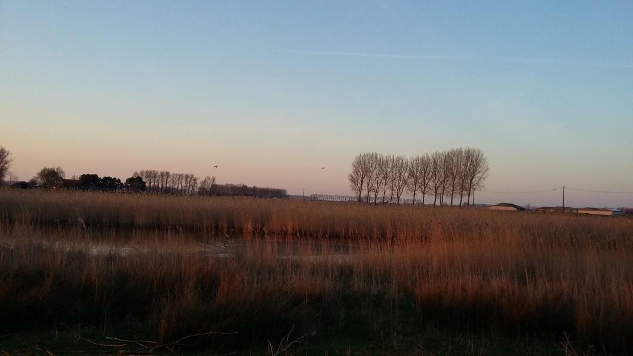 De Molenkreek Villa Sint-Margriete Exteriör bild