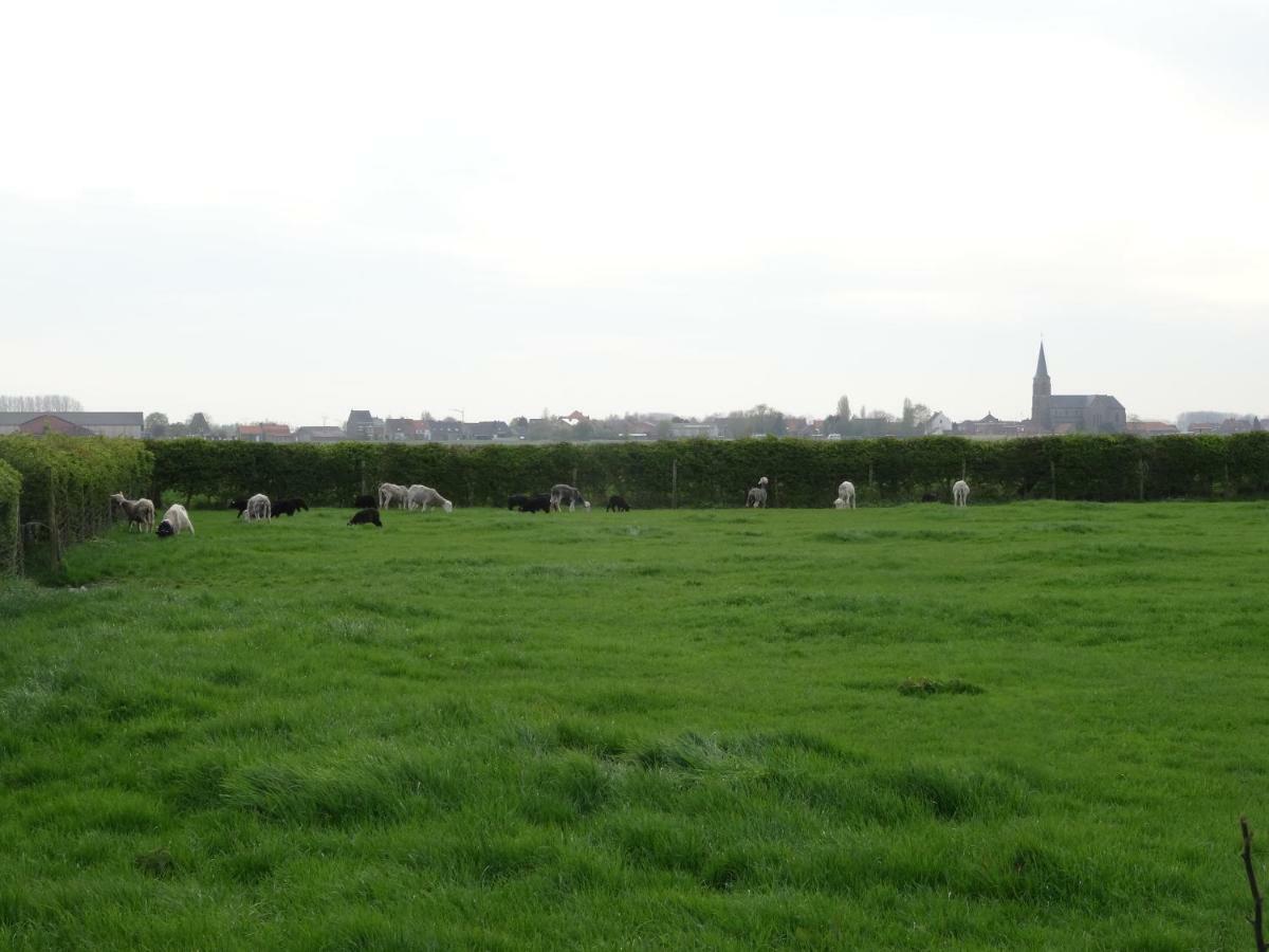 De Molenkreek Villa Sint-Margriete Exteriör bild