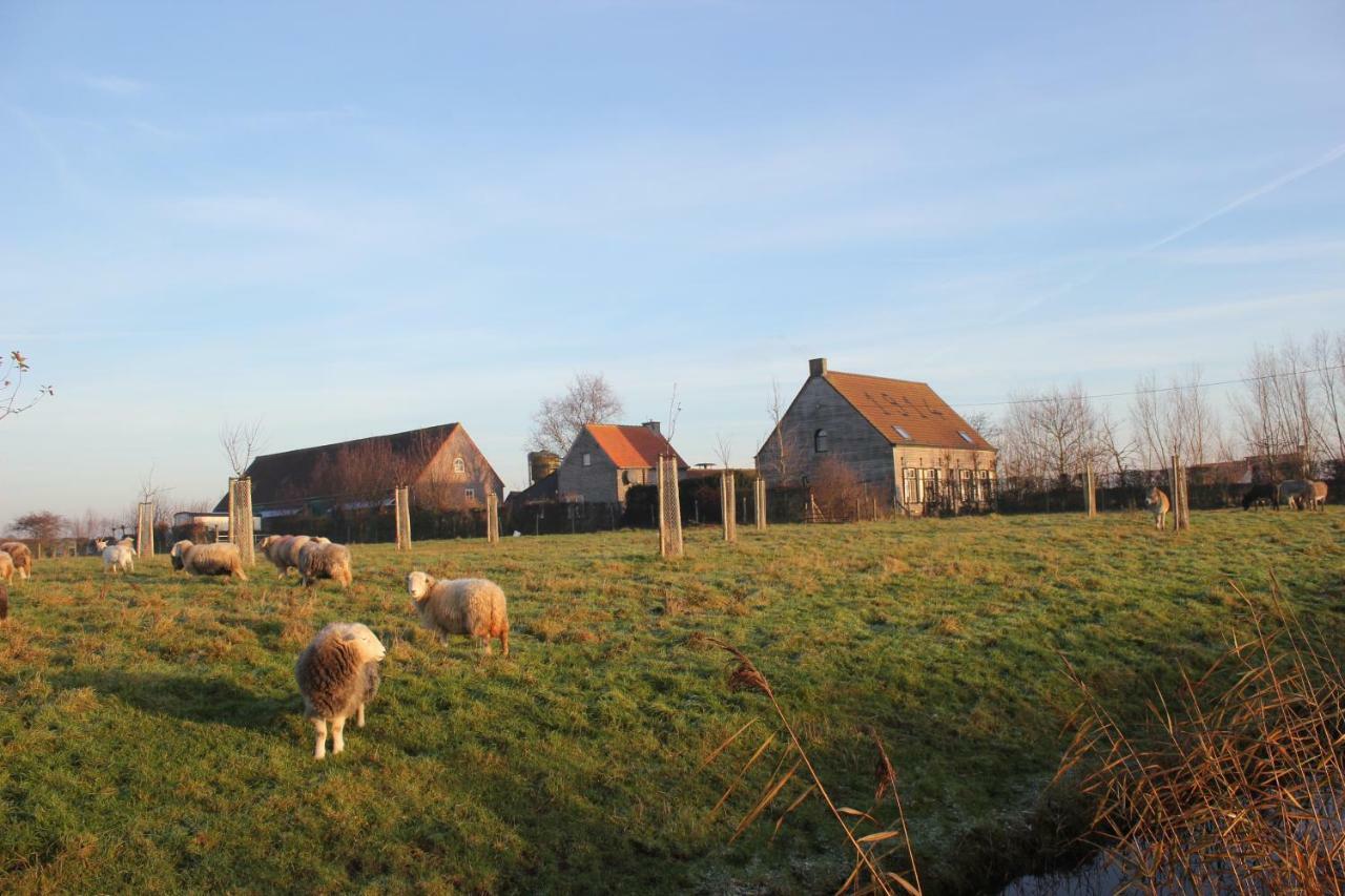 De Molenkreek Villa Sint-Margriete Exteriör bild