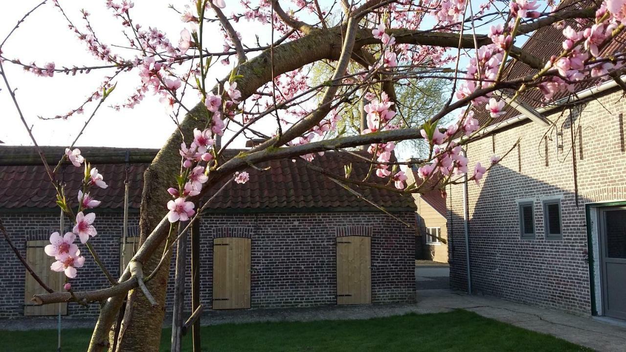 De Molenkreek Villa Sint-Margriete Exteriör bild